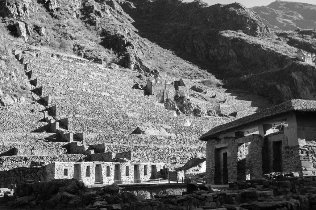 Qenqo Week 2-3